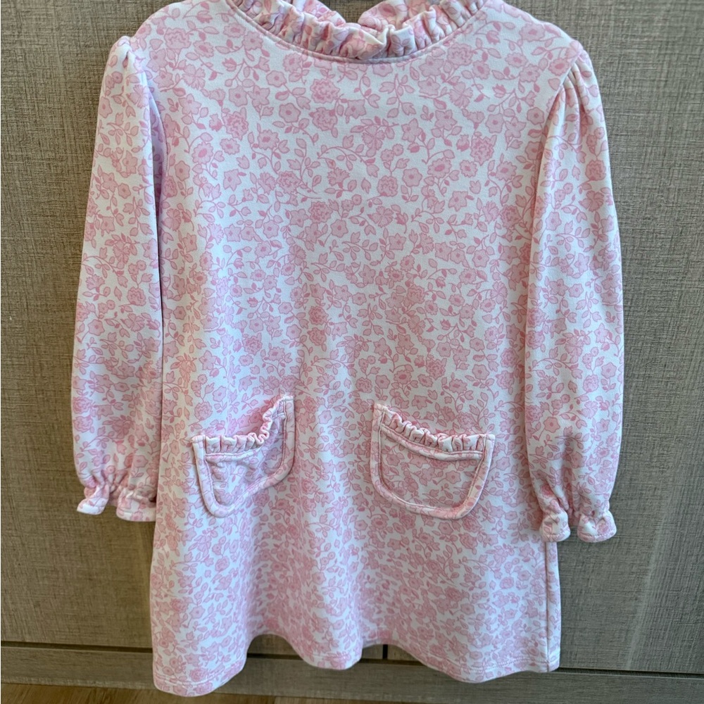 The Beaufort Bonnet Company Pink Floral Dress 4T